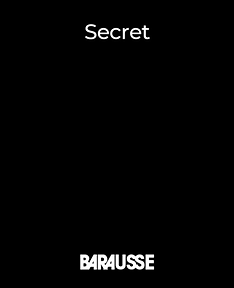 Barausse – Secret